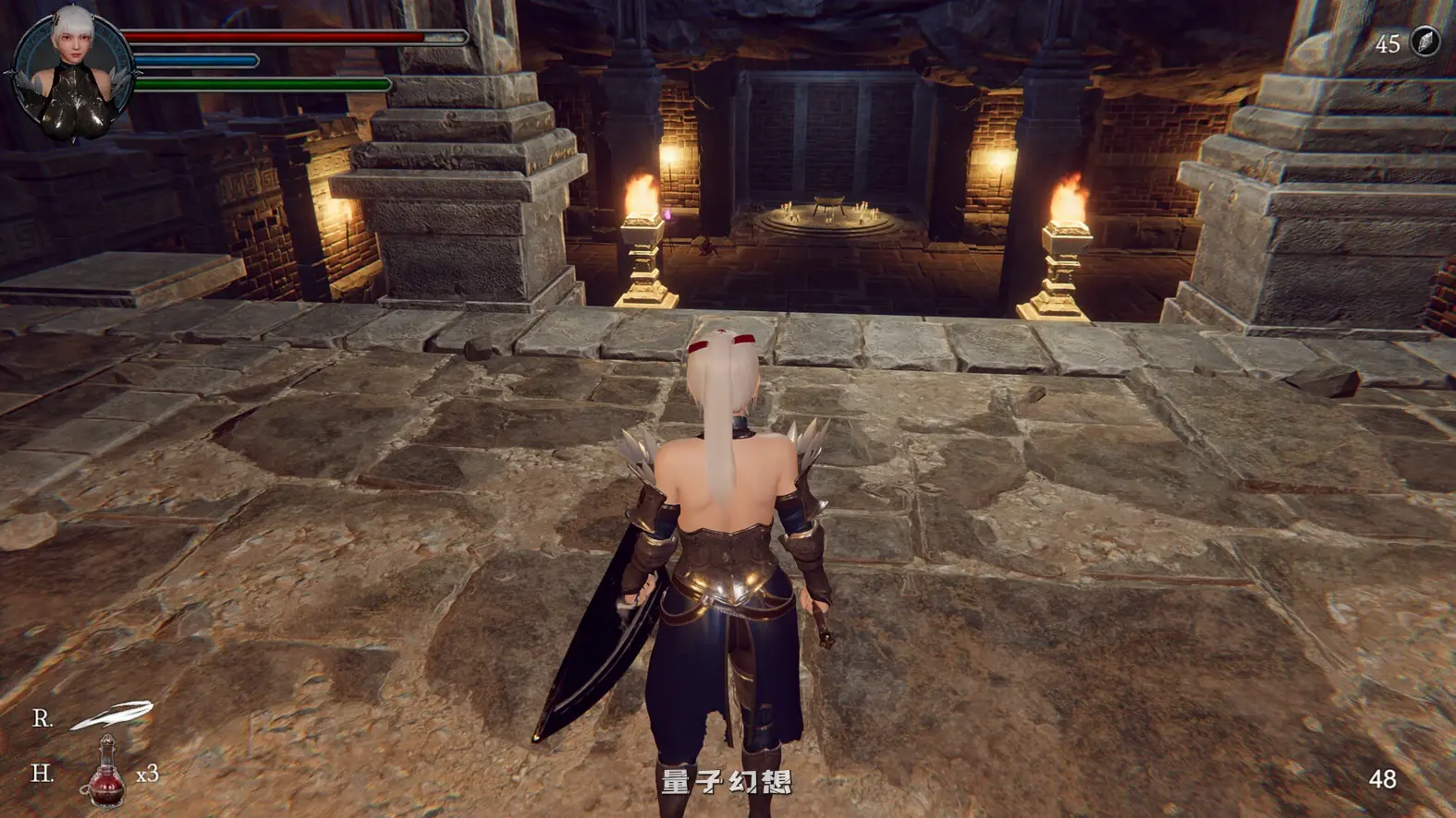 地下城女骑士 The Knight Girl And Dungeons STEAM官方中文版(ACT/中文)3.3G