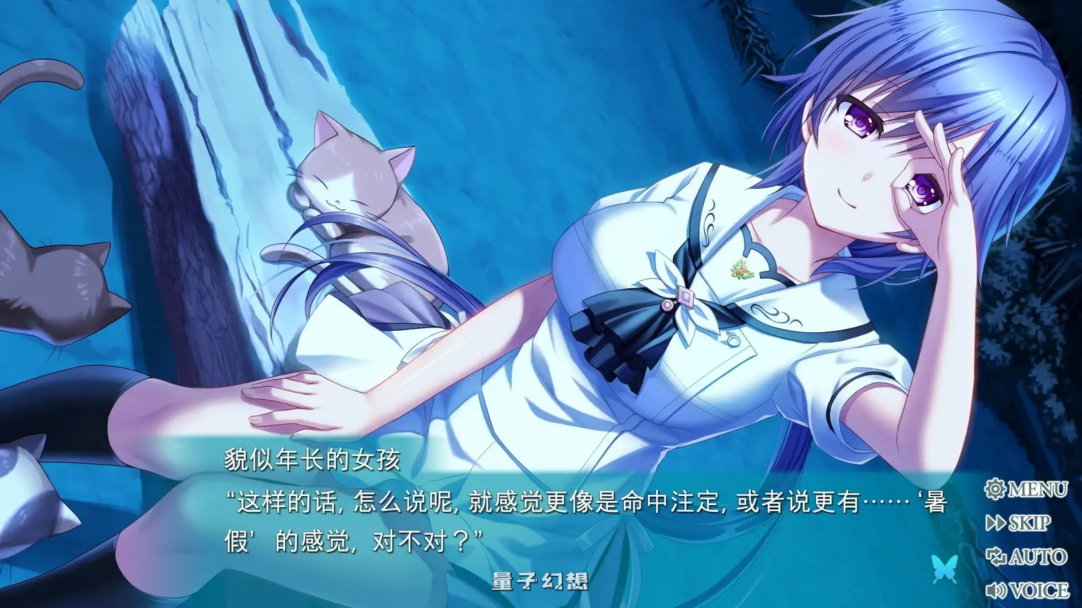 [日式ADV/少女] 夏日口袋 Summer Pockets REFLECTION BLUE Ver1.4.2.1 STEAM官方中文版[更新/10.40G]
