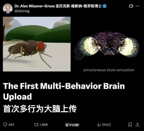 数字生命体真要来了?第一只赛博果蝇开始自主活动