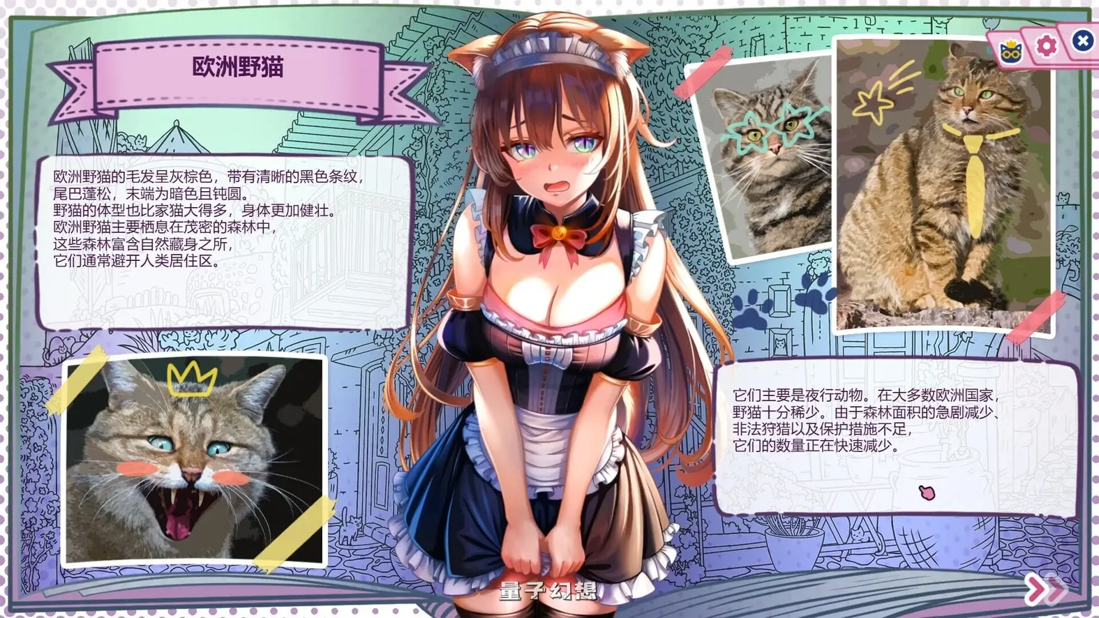 新作[日式SLG/兽耳/动态] 猫娘百科：寻找她的小尾巴 Nekopedia: Find Her Tail 官中步兵版[2.70G]